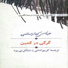  کتاب  گرگی در کمین