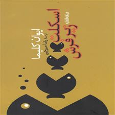  کتاب  اسکلت زیر فرش