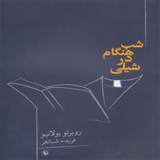  کتاب  شب هنگام در شیلی