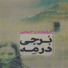  کتاب  برجی در مه