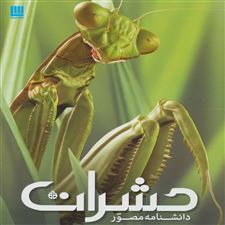  کتاب  دانشنامه مصور حشرات