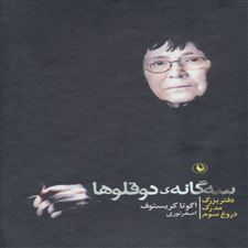  کتاب  مجموعه سه گانه ی دوقلوها