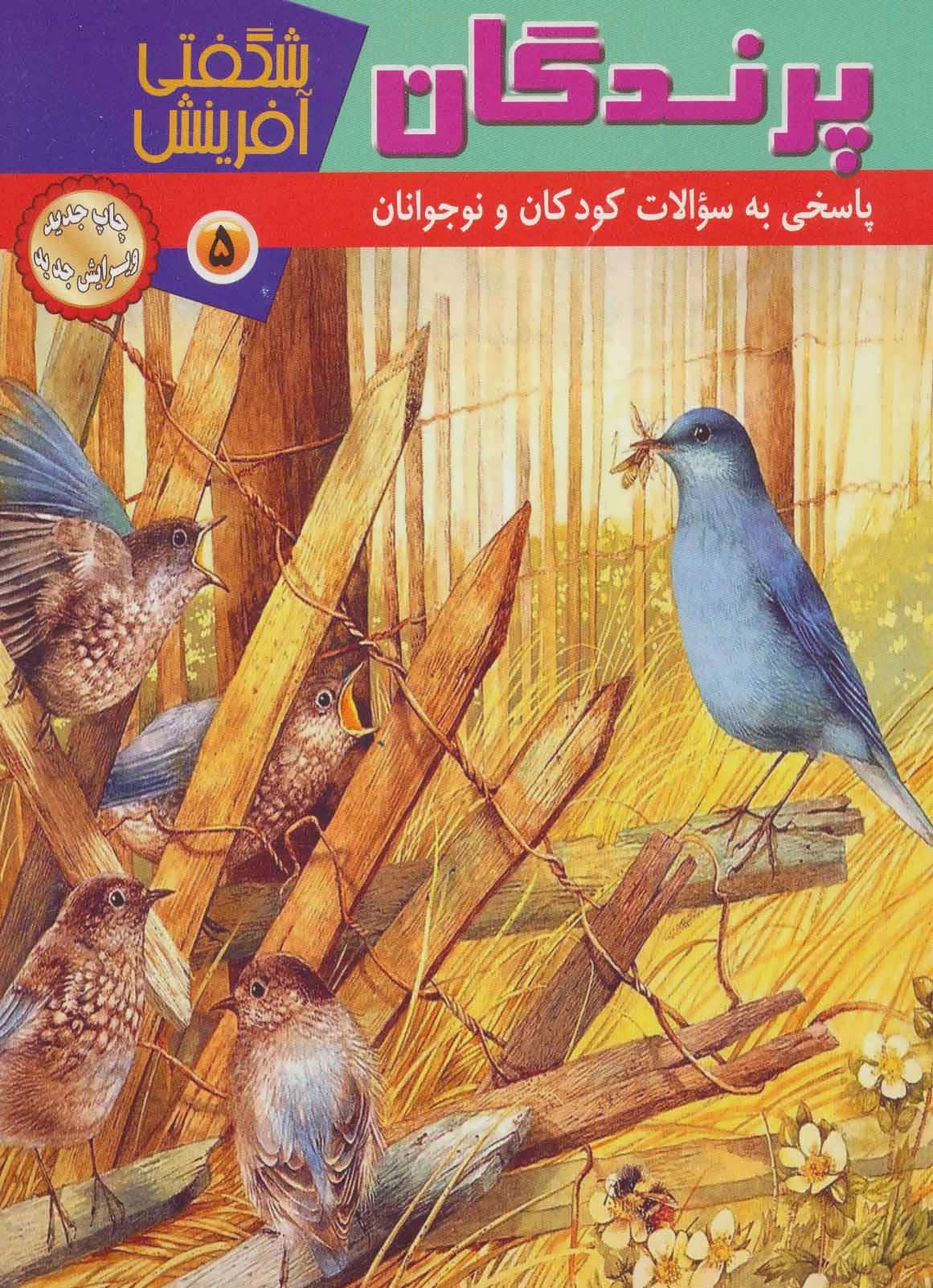  کتاب  پرندگان