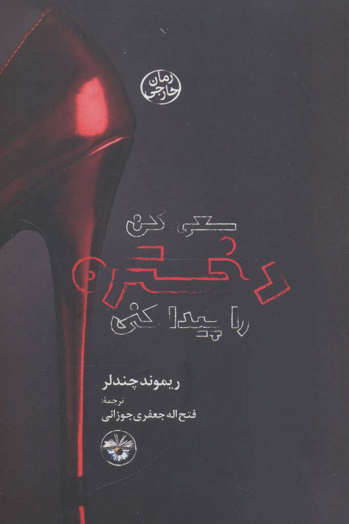  کتاب  سعی کن دختره را پیدا کنی