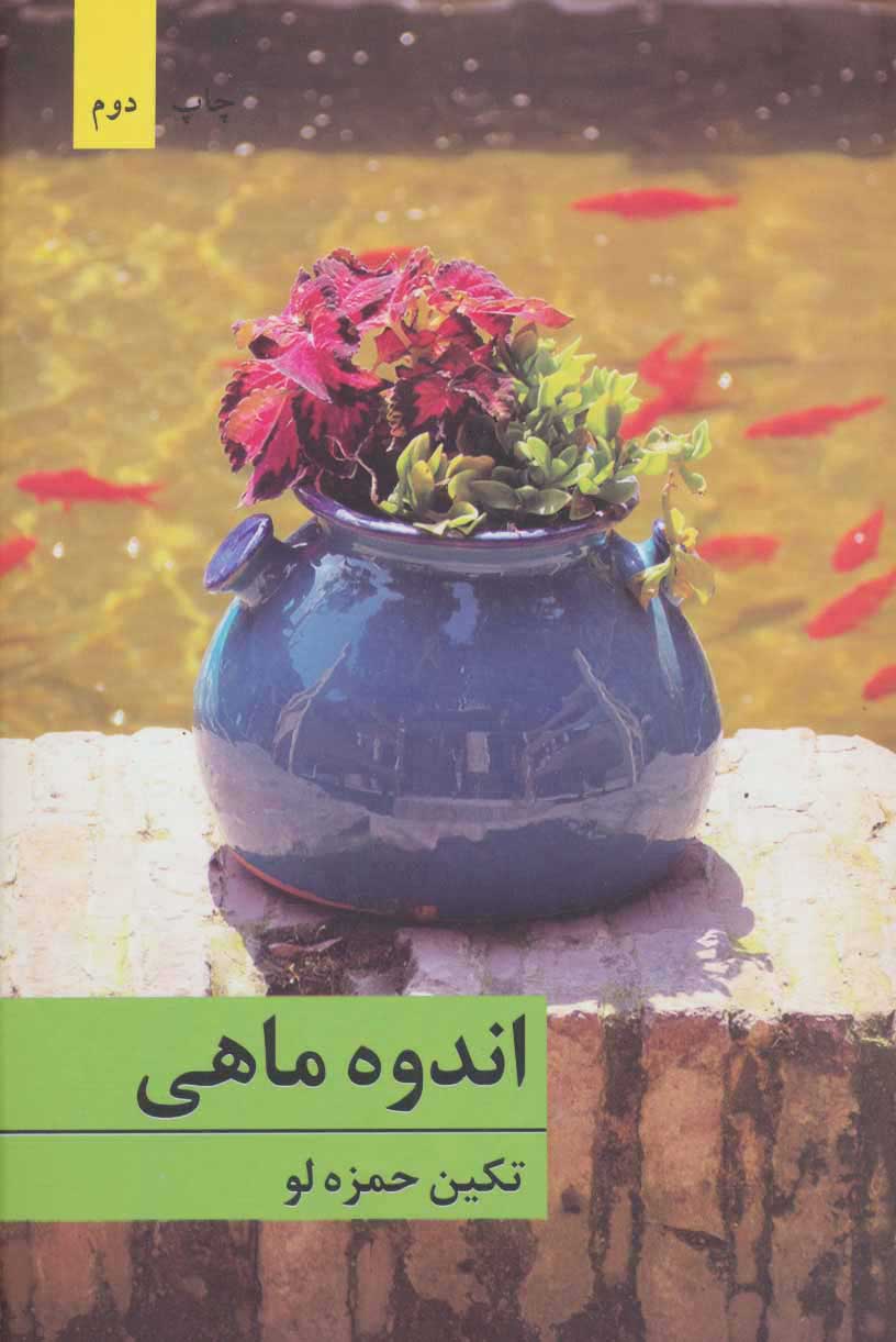  کتاب  اندوه ماهی