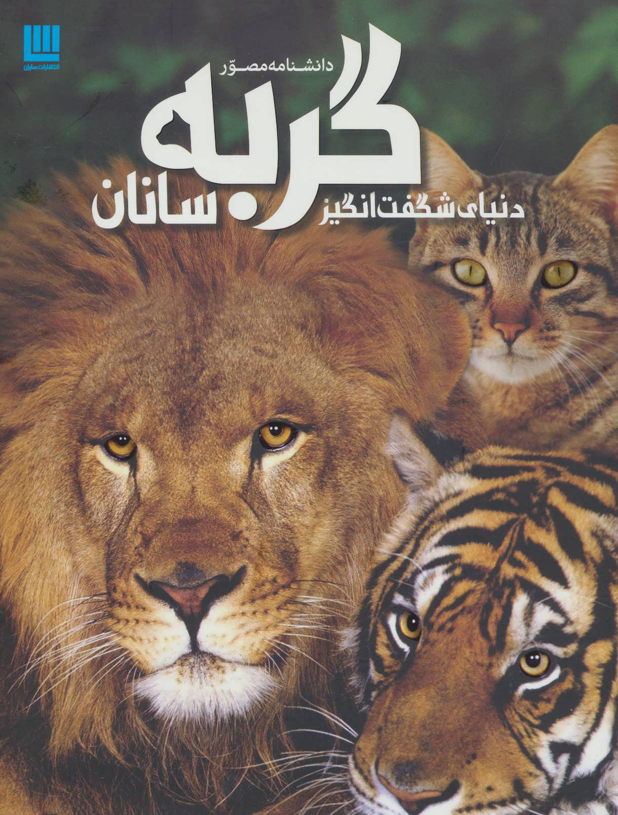  کتاب  دانشنامه مصور دنیای شگفت انگیز گربه سانان