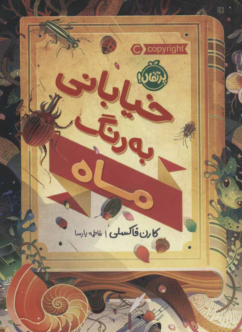  کتاب  خیابانی به رنگ ماه