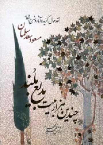  کتاب  چندین هزار بیت بدیع بلند